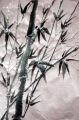 01 - Bambus im Schnee Tusche auf Reispapier, 20 x 40 cm